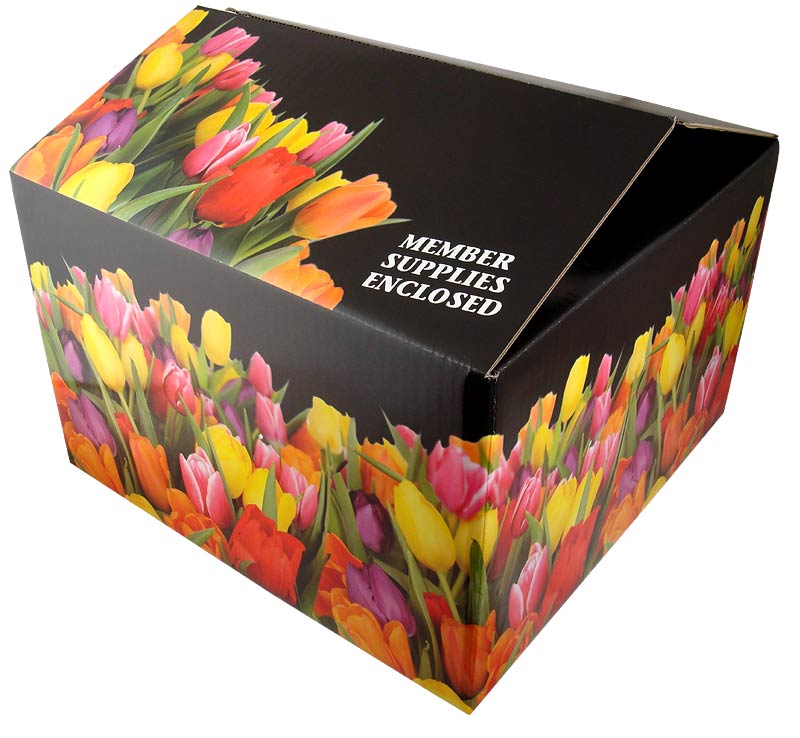 Custom printed shipping boxes